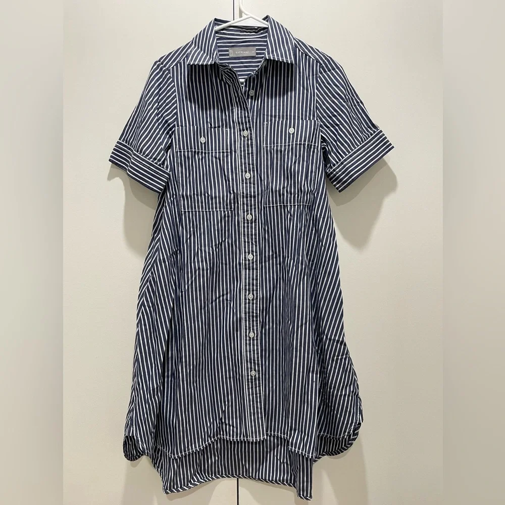 Everlane Daytripped Blue Pinstripe Button Up Shirt Dress - Picture 6 of 11